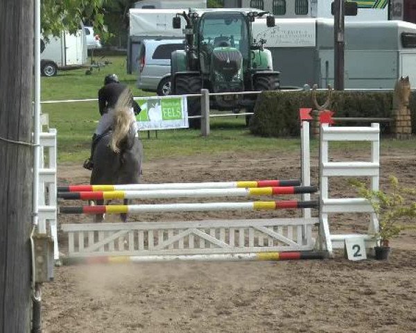 Pfingstturnier Mettingen 2015
