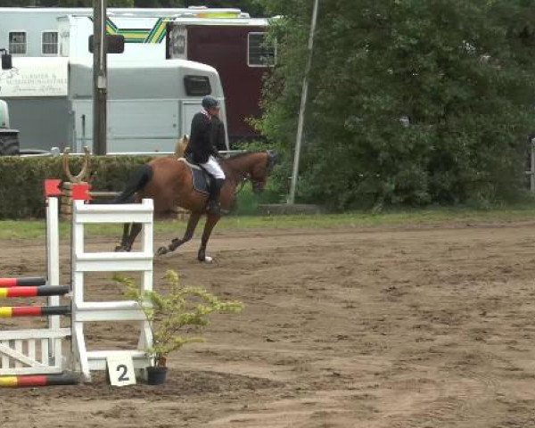 Pfingstturnier Mettingen 2015