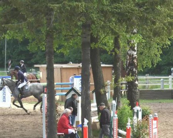 Pfingstturnier Mettingen 2015