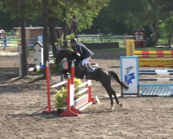 Pfingstturnier Mettingen 2015