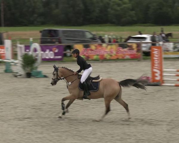Equestrian Tournament Braunschweig - Volkmarode 2026