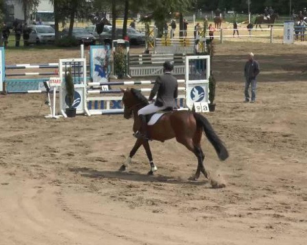 Pfingstturnier Mettingen 2015