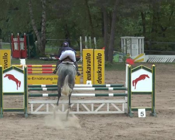 Pfingstturnier Mettingen 2015