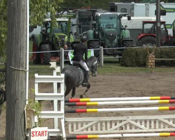 Pfingstturnier Mettingen 2015