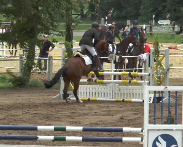 Pfingstturnier Mettingen 2015