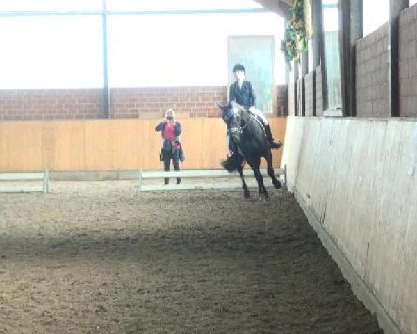 Iserlohn-Kalthof 2015