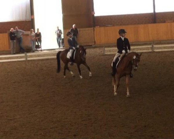 Iserlohn-Kalthof 2015