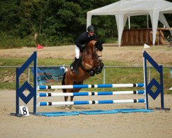 dressage horse Amira 226 (German Riding Pony, 2014, from A new Star)