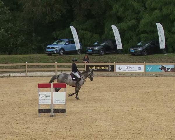 Ride turnering Tiefenhof/Opf. 2026