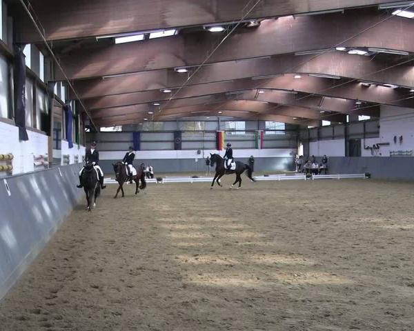 Reitturnier Dortmund-Asseln 2026