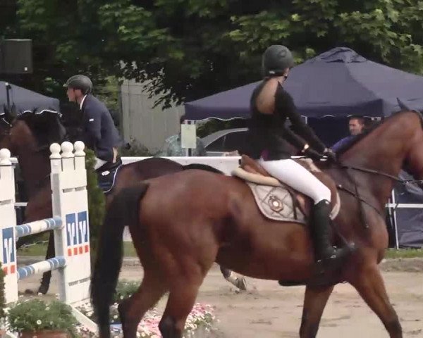 Großes Langenauer Reitturnier 2015