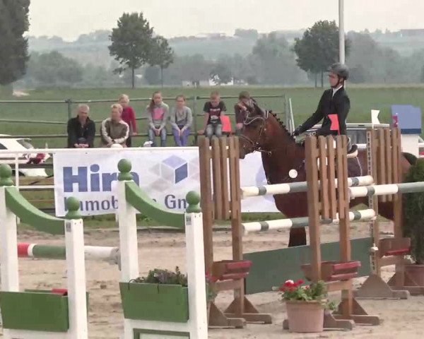 Großes Langenauer Reitturnier 2015