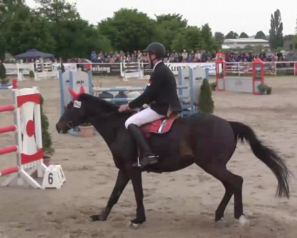 Großes Langenauer Reitturnier 2015