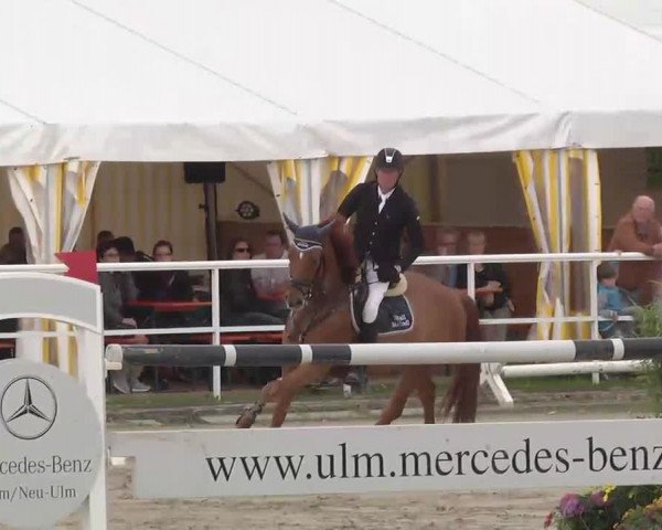 Großes Langenauer Reitturnier 2015