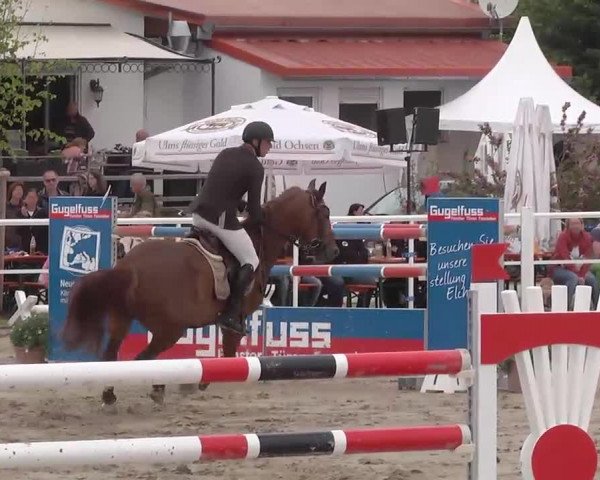 Großes Langenauer Reitturnier 2015