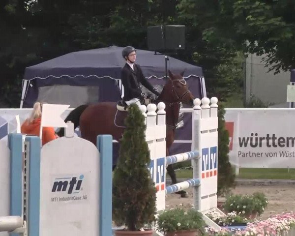 Großes Langenauer Reitturnier 2015