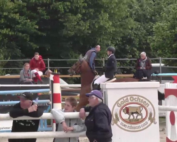 Großes Langenauer Reitturnier 2015