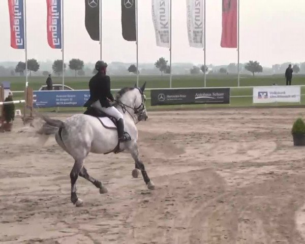 Großes Langenauer Reitturnier 2015