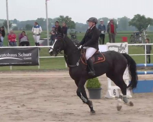 Großes Langenauer Reitturnier 2015