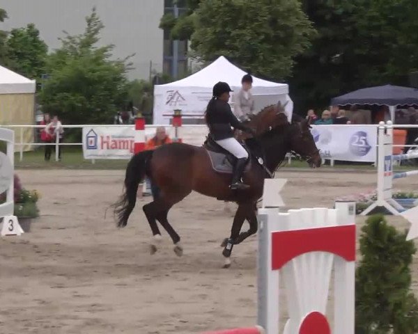 Großes Langenauer Reitturnier 2015