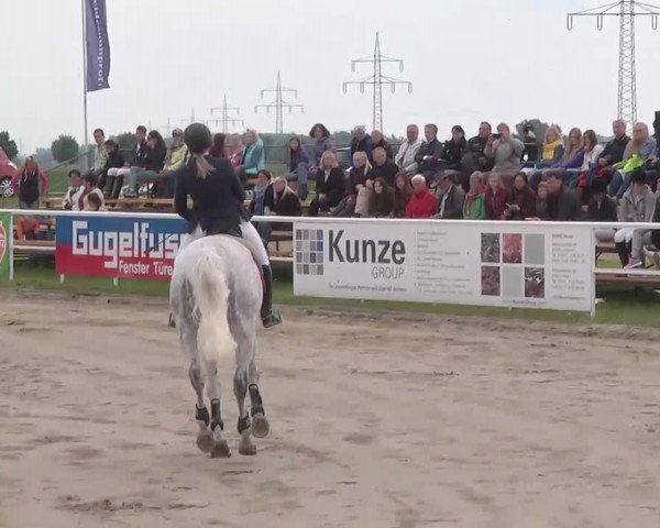 Großes Langenauer Reitturnier 2015