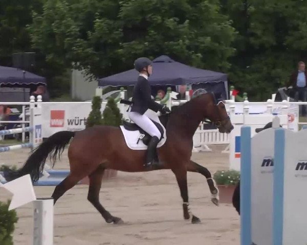 Großes Langenauer Reitturnier 2015