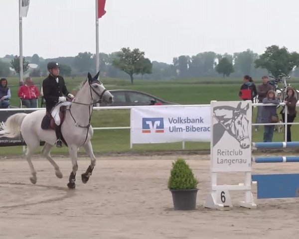 Großes Langenauer Reitturnier 2015