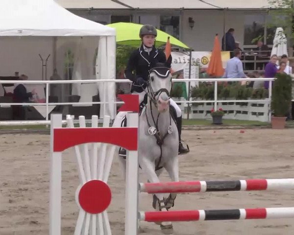 Großes Langenauer Reitturnier 2015