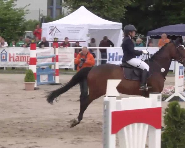 Großes Langenauer Reitturnier 2015