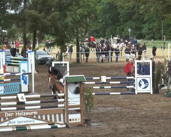 Pfingstturnier Mettingen 2015