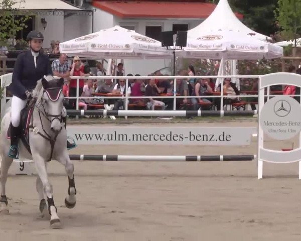 Großes Langenauer Reitturnier 2015