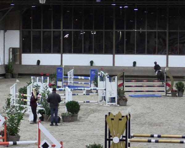 Reitturnier Langenfeld - Gut Langfort 2021