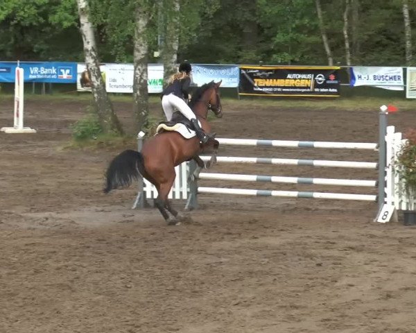 Pfingstturnier Mettingen 2015
