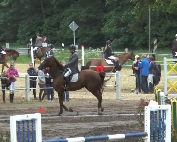 Pfingstturnier Mettingen 2015