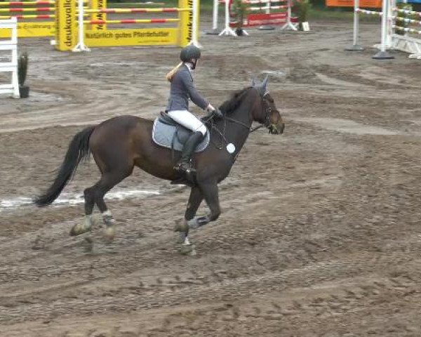 Pfingstturnier Mettingen 2015