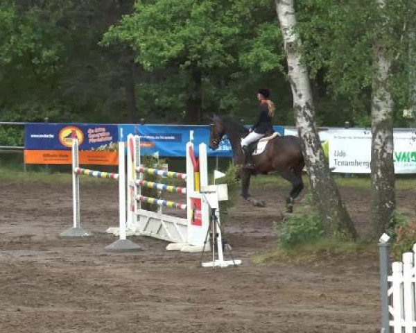 Pfingstturnier Mettingen 2015