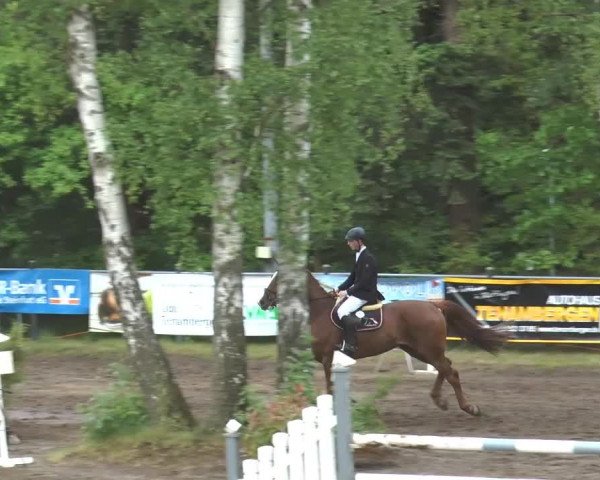 Pfingstturnier Mettingen 2015