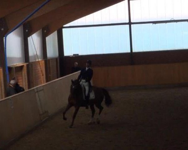 Iserlohn-Kalthof 2015