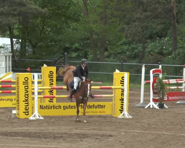 Pfingstturnier Mettingen 2015