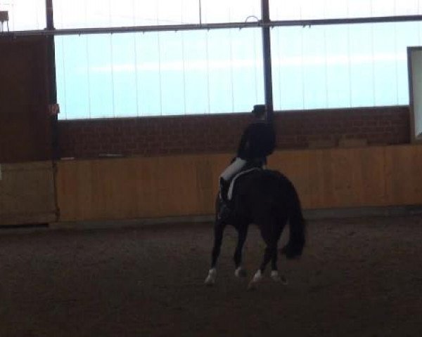 Iserlohn-Kalthof 2015