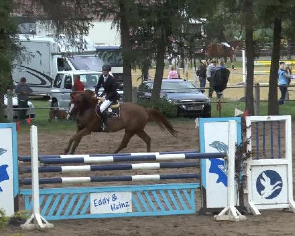 Pfingstturnier Mettingen 2015