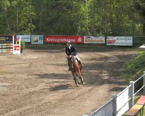 Pfingstturnier Mettingen 2015