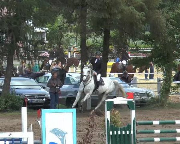 Pfingstturnier Mettingen 2015