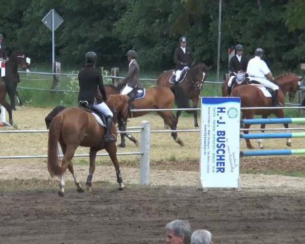 Pfingstturnier Mettingen 2015