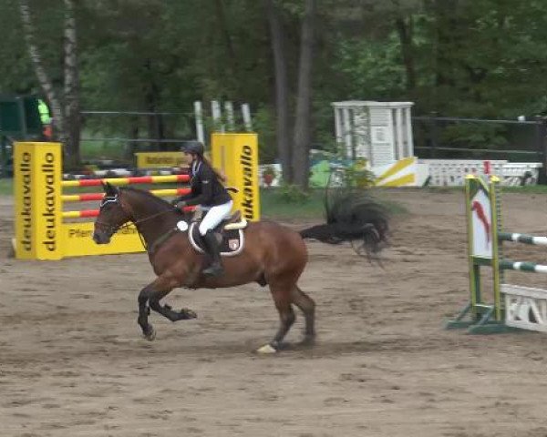 Pfingstturnier Mettingen 2015