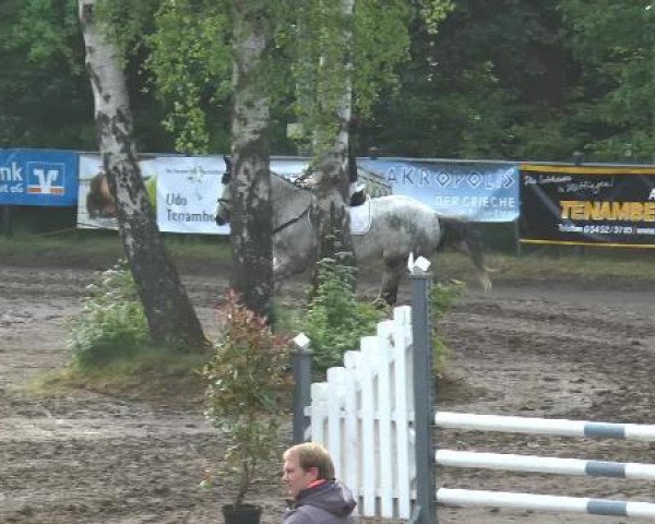 Pfingstturnier Mettingen 2015