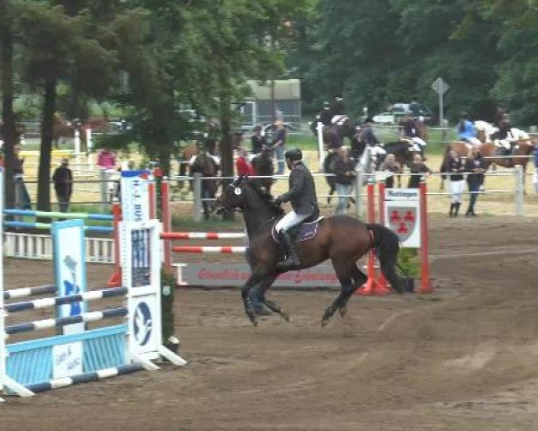 Pfingstturnier Mettingen 2015