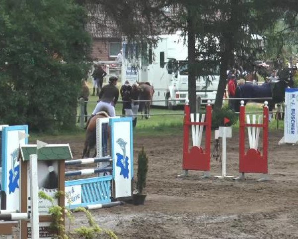 Pfingstturnier Mettingen 2015
