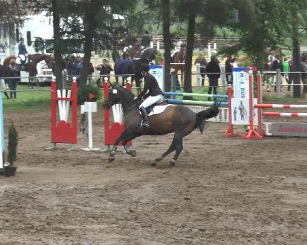 Pfingstturnier Mettingen 2015