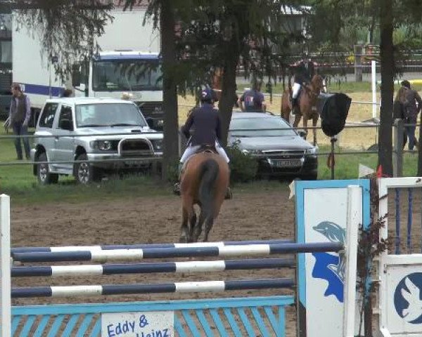 Pfingstturnier Mettingen 2015